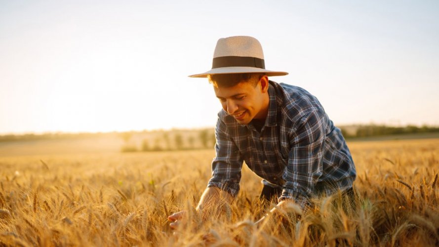 Crédito rural para compra de implementos: o que o produtor precisa saber em 2025